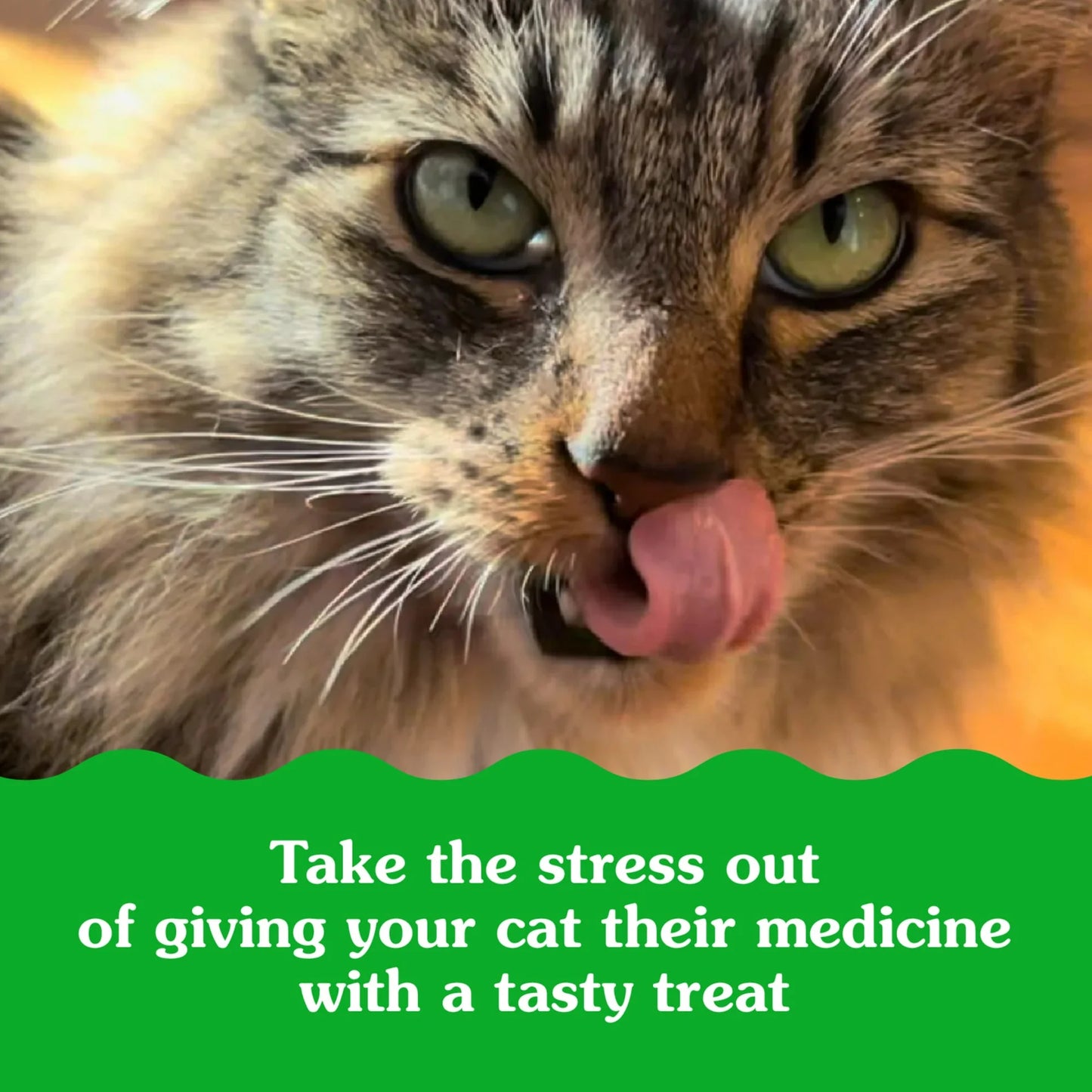 Feline Greenies Pill Pockets For Cats Natural Soft Cat Treats, Chicken Flavor, 1.6 Oz. Pack (45 Treats)